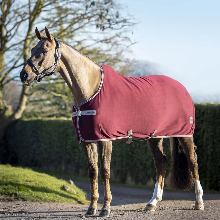 Lemieux Cooler Rug