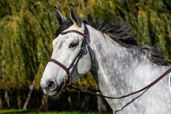 Cavesson Noseband Bridle with Anatomic Headpiece