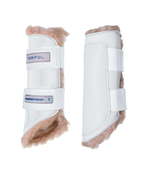 Torpol Magnetic Walking Boots