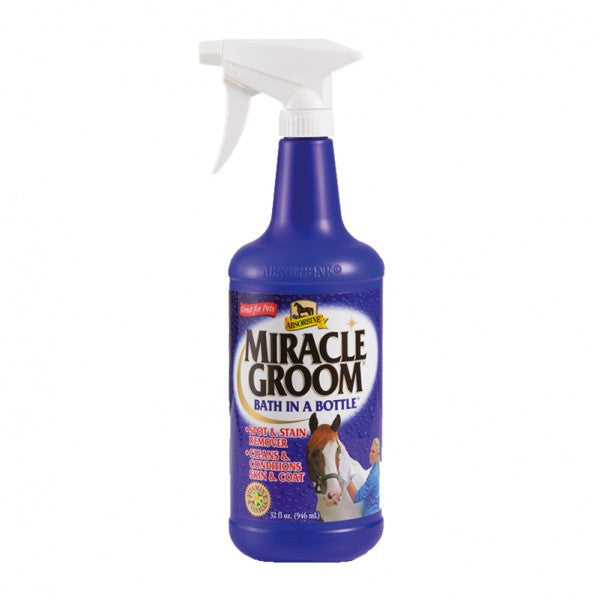 Absorbine Glanzspray