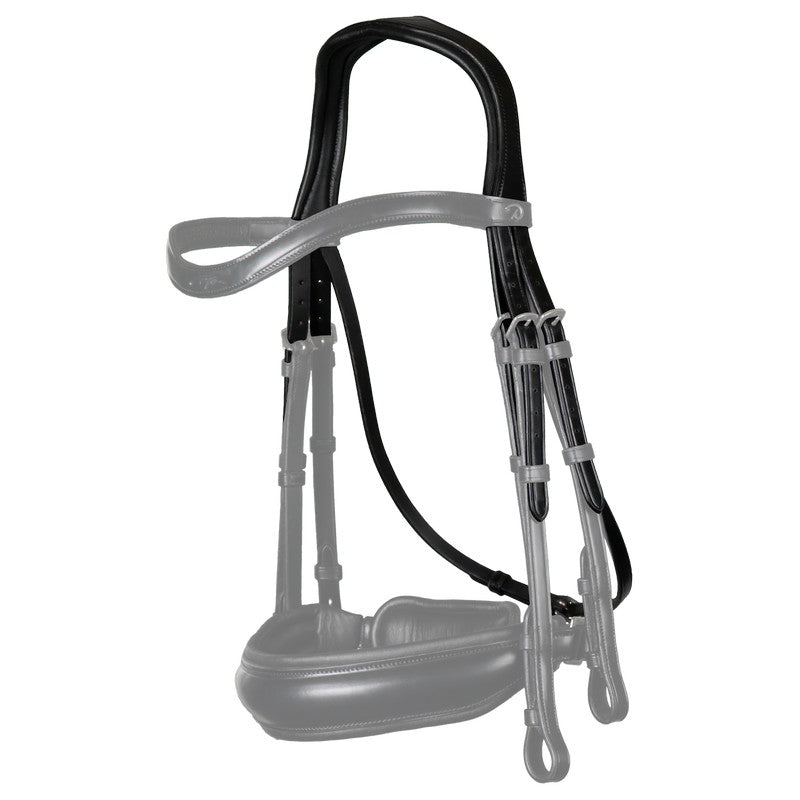 Double bridle headpiece