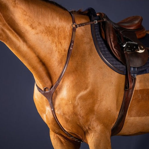 Breastplate with bridge