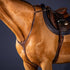 Breastplate with bridge