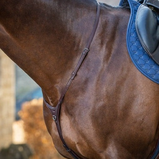Dyon Yoke Martingale