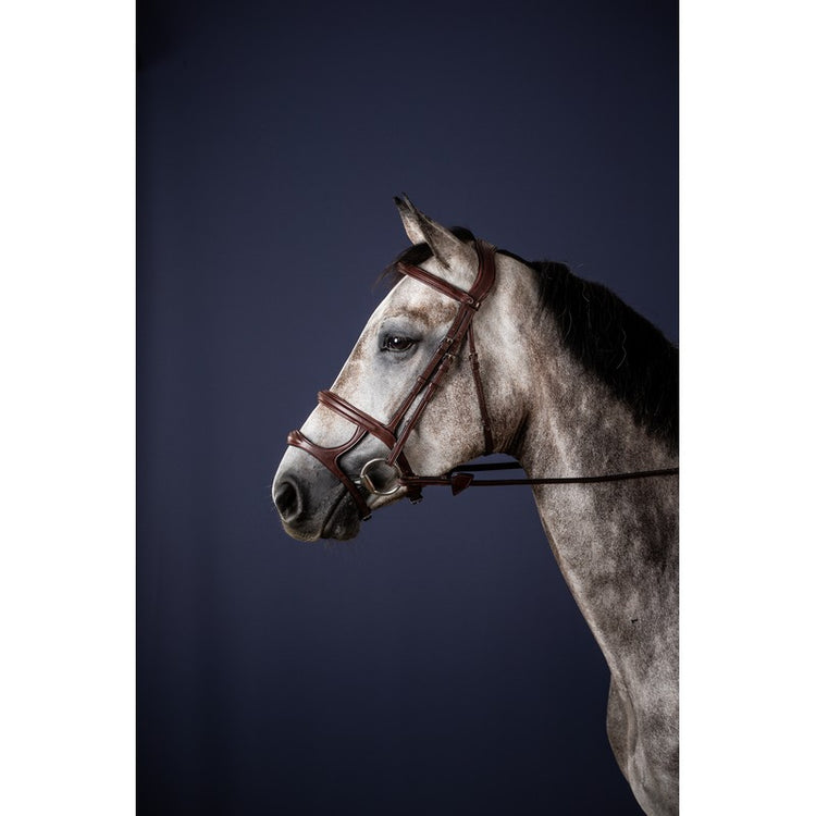 Dyon Double Noseband