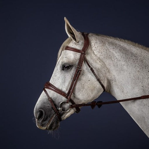 Best Anatomic Bridle