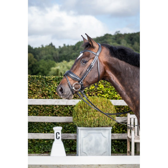 Dressage Bridle with Flash Noseband