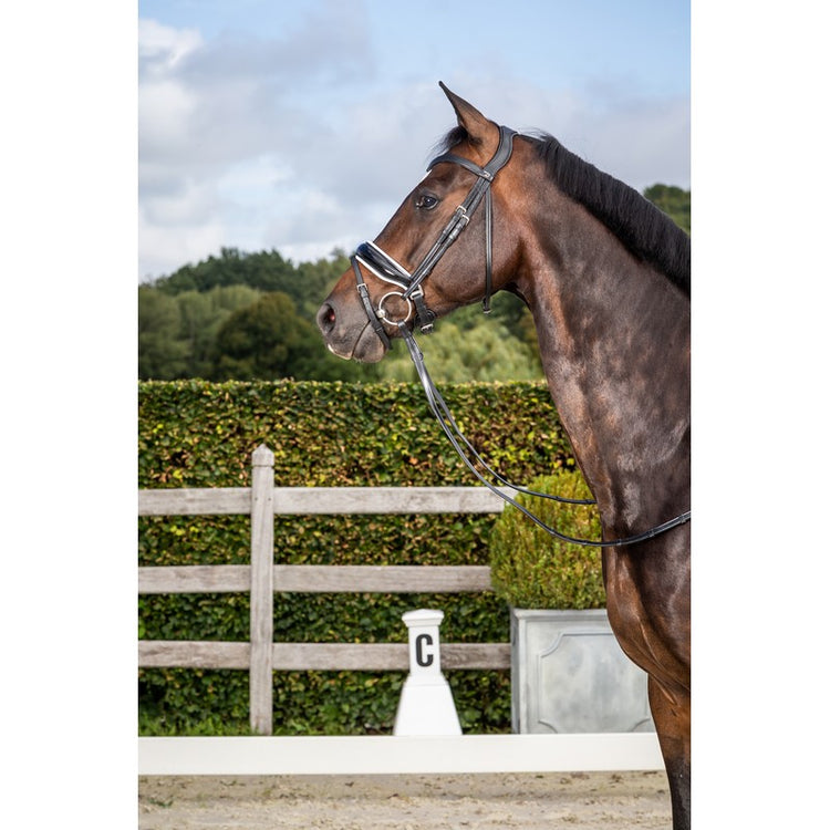 Anatomic Dressage bridle with large noseband and white padding