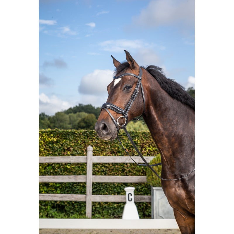 Dressage Bridle Crank Noseband