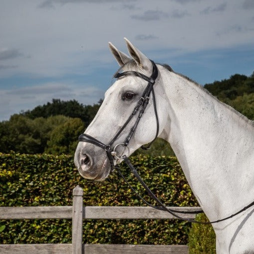 Drop Noseband anatomical bridle