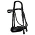 Dyon double bridle