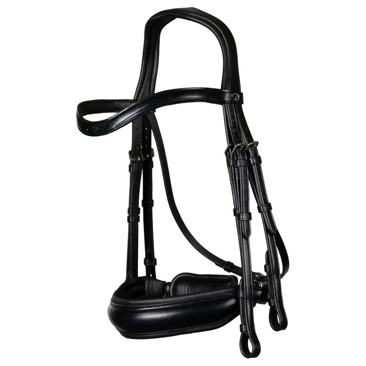 Dyon double bridle