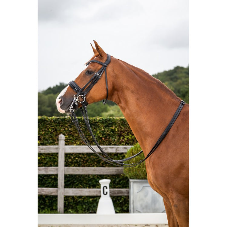 Dyon Dressage bridle patent noseband