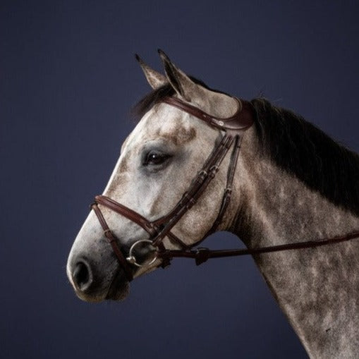 Therapeutic ergonomic bridle