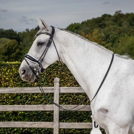 Round Leather crank noseband bridle with white padding