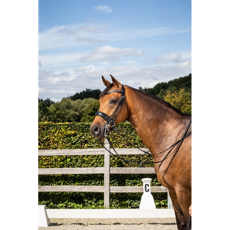 Round leather double bridle