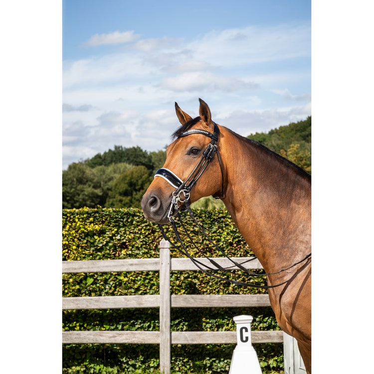 White padded patent noseband double bridle