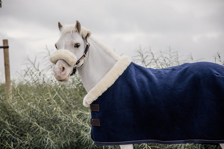 Mini Horse Show Rug