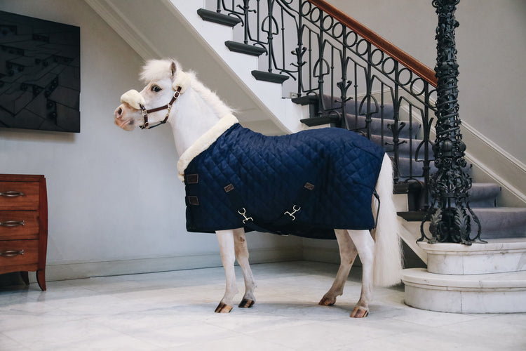 Kentucky Tiny Show Rug