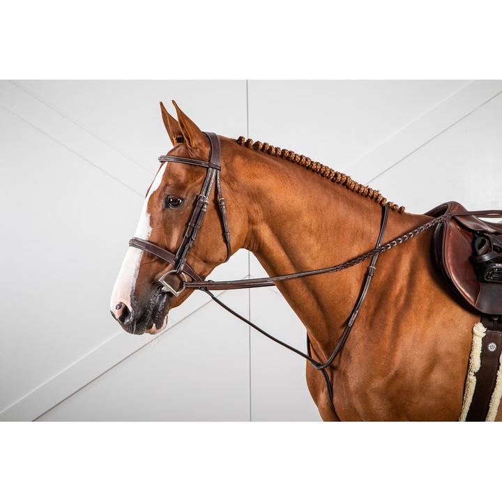 Dyon Hunter reins