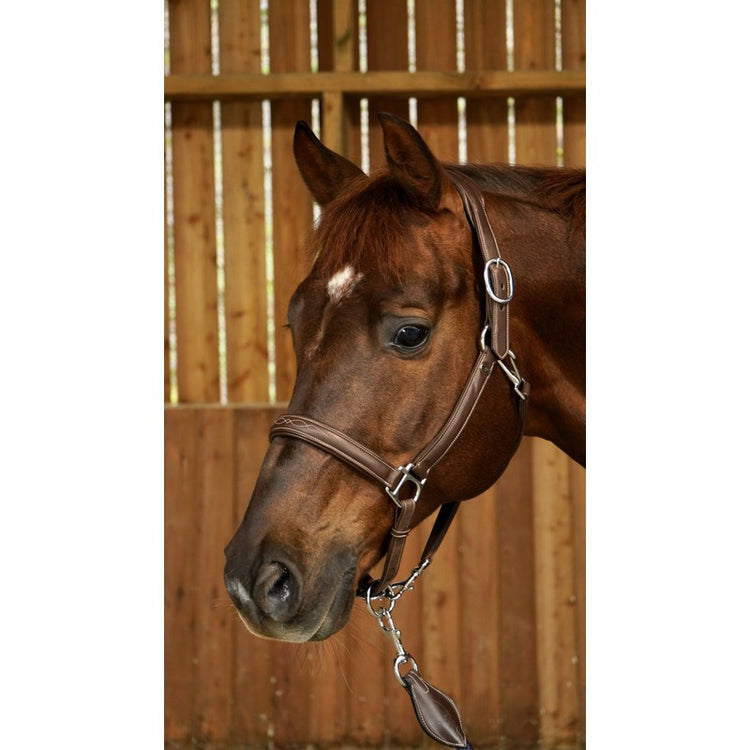 Leather Head Collar