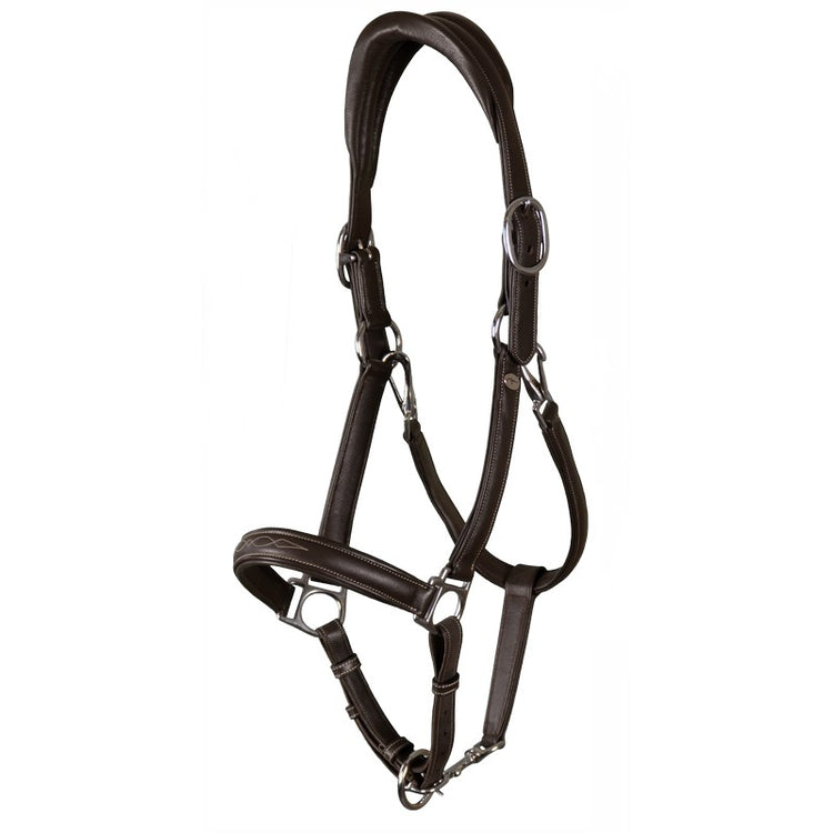 Leather halter