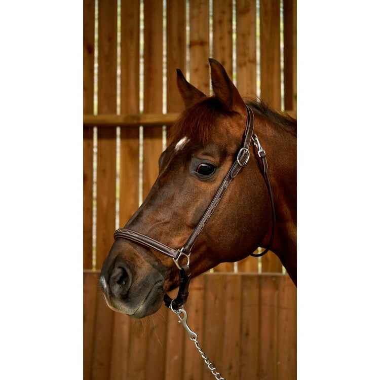 Leather grooming head collar