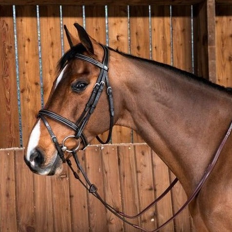 Black Dyon bridle