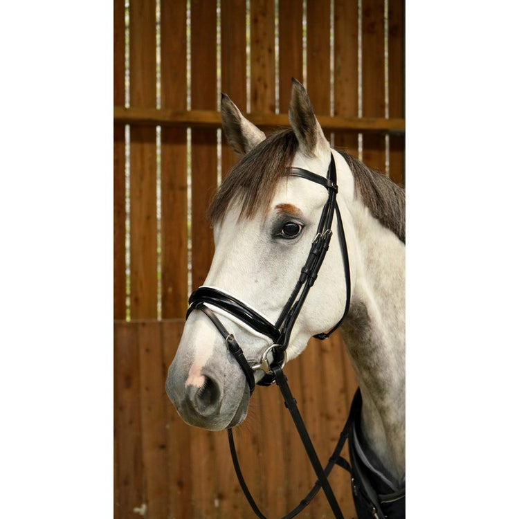 Patent noseband dressage bridle