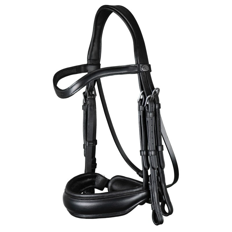 Ergonomic double bridle