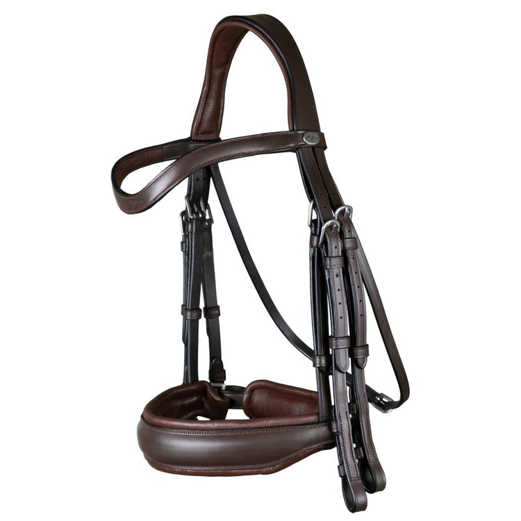 Brown double bridle dressage