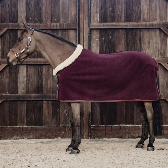Kentucky Horsewear Rug Sale