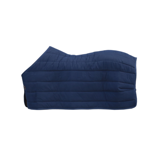 300g pony rug