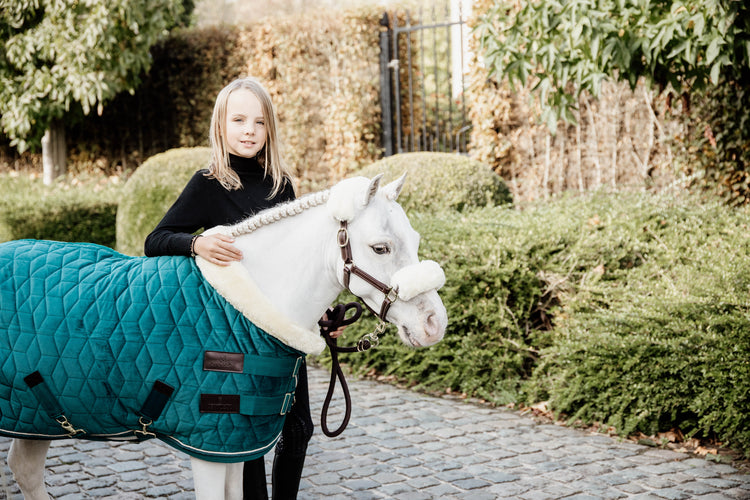 green pony show rug