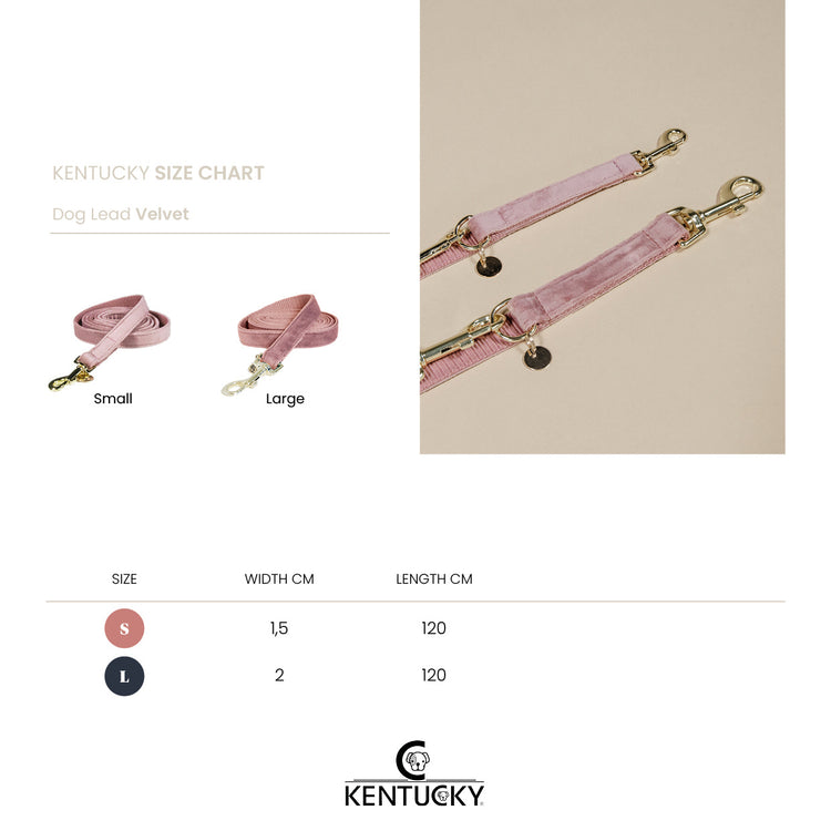 small velvet dog lead