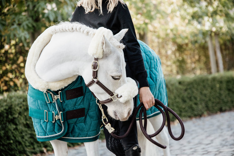 Velvet Pony Rug in Green