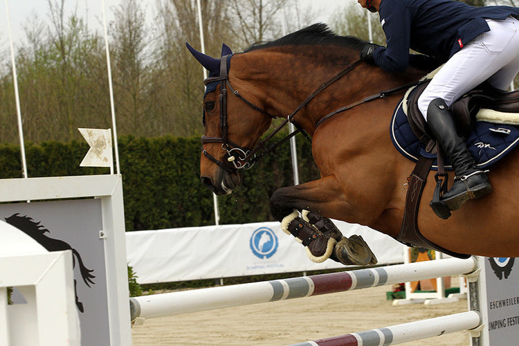 Jumping Girth