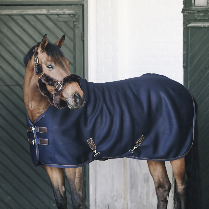 Best cooler rug for horses