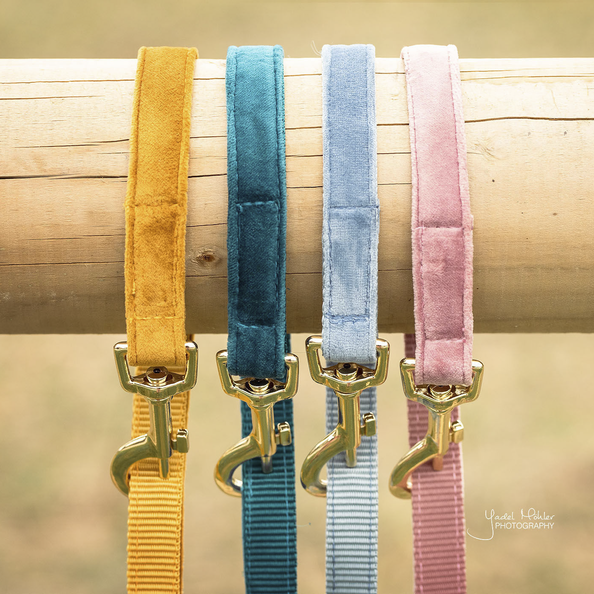 Kentucky Dogwear Dog Lead Velvet 120cm