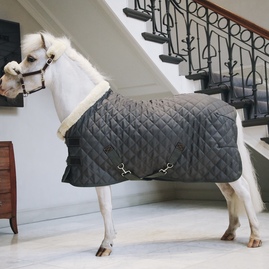 Show Rug for small ponies