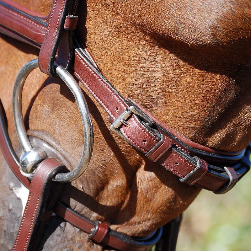 Dyon Flash Noseband Bridle