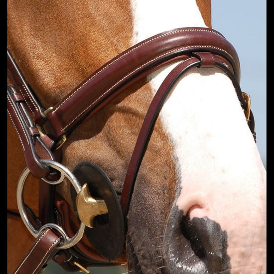 Dyon Crank Noseband