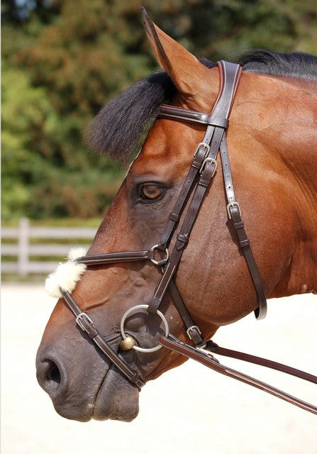 Anatomic Mexican Noseband Bridle