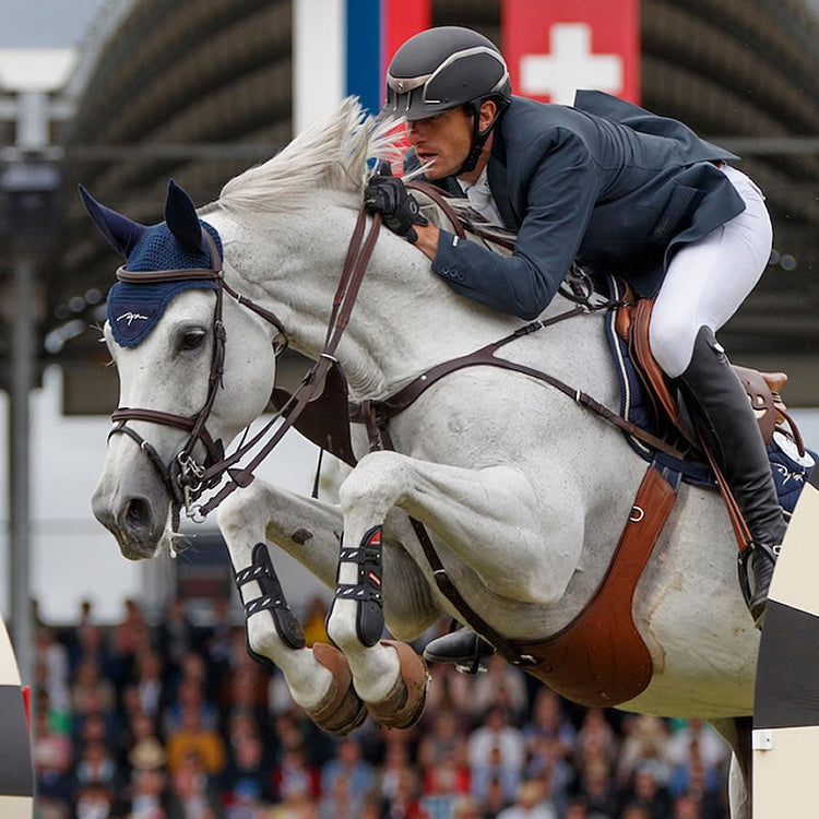Show Jumping breastplate
