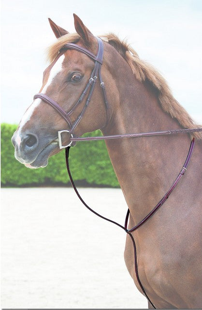Standing Martingale