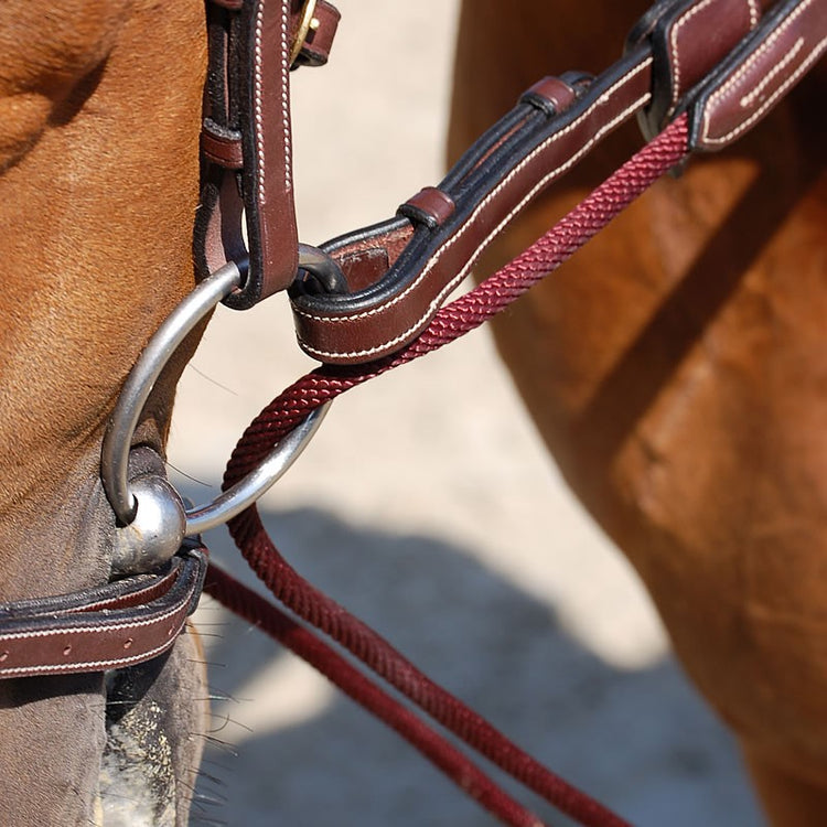 Leather Draw Reins