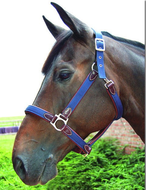 Dyon Head Collar