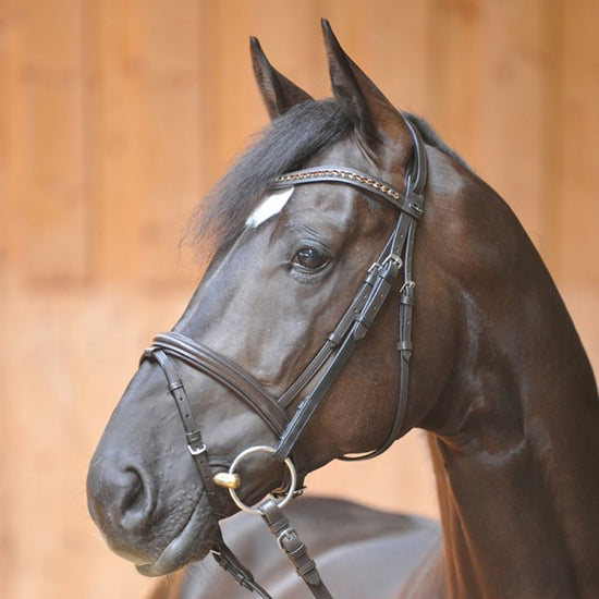 Bridle Carian