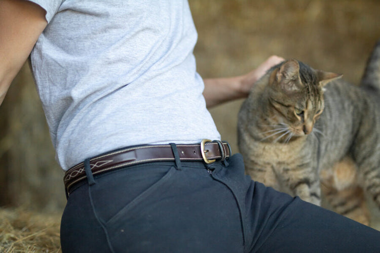 Horse Riding Leather Belt
