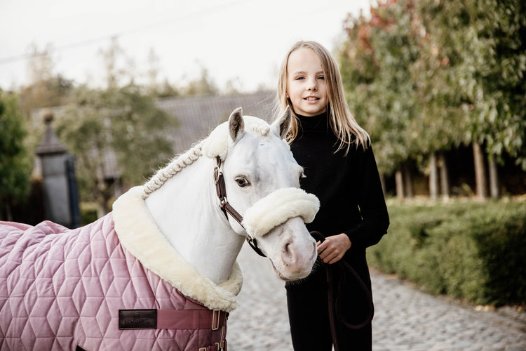 kentucky horsewear show rug mini